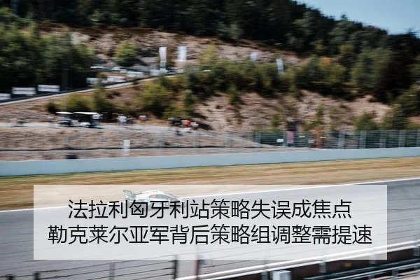 fa-la-li-xiong-ya-li-zhan-ce-lve-shi-wu-cheng-jiao-dian-lei-ke-lai-er-ya-jun-bei-hou-ce-lve-zu-tiao-zheng-xu-ti-su-2-417.jpg